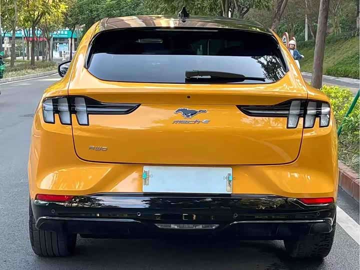 Фото 4 - Ford Mustang Mach-E