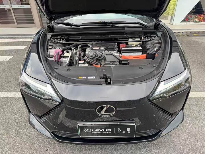 Фото 4 - Lexus RZ