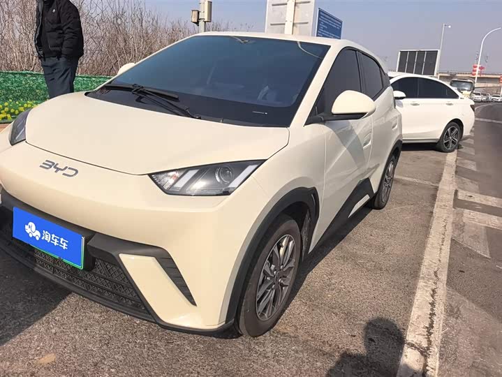 Фото 1 - BYD Seagull