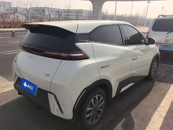 Фото 3 - BYD Seagull