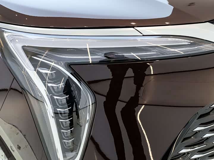 Фото 5 - Buick GL8 Century