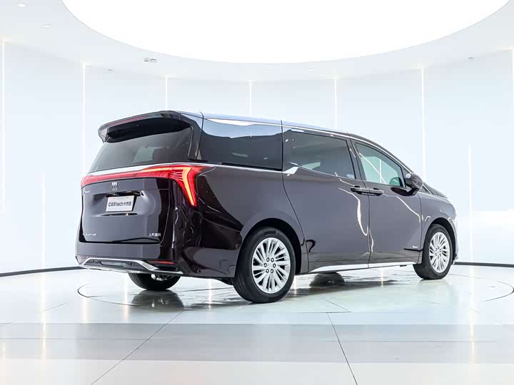 Фото 8 - Buick GL8 Century