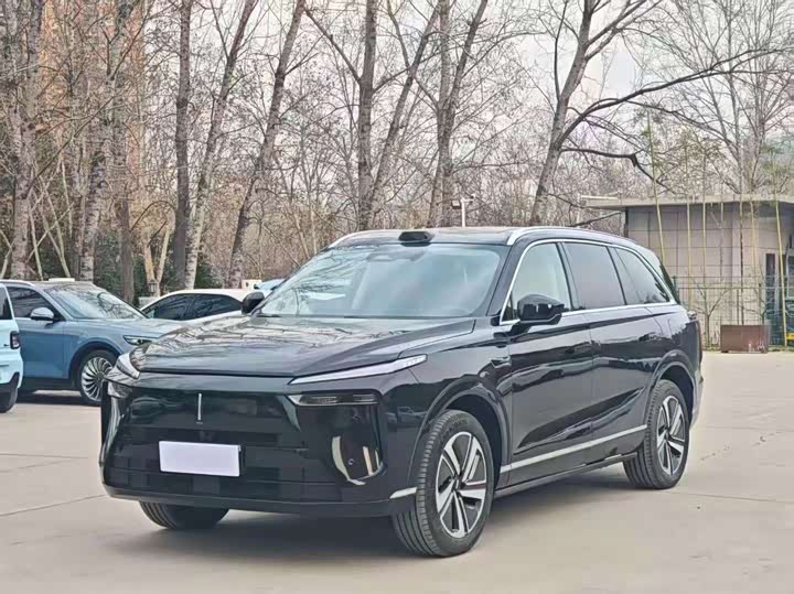 Фото 1 - Wey Lanshan