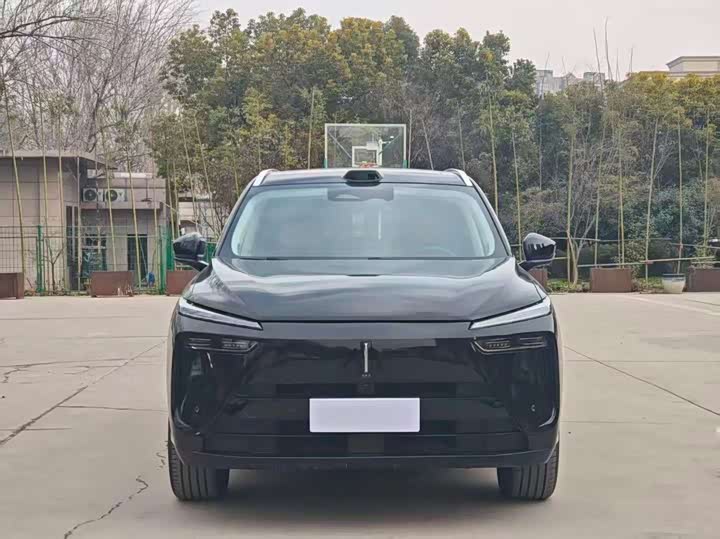 Фото 2 - Wey Lanshan