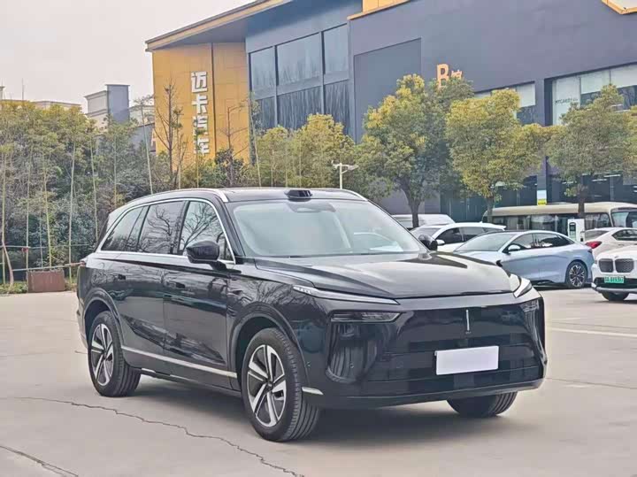 Фото 3 - Wey Lanshan