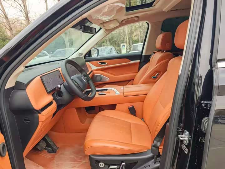 Фото 4 - Wey Lanshan