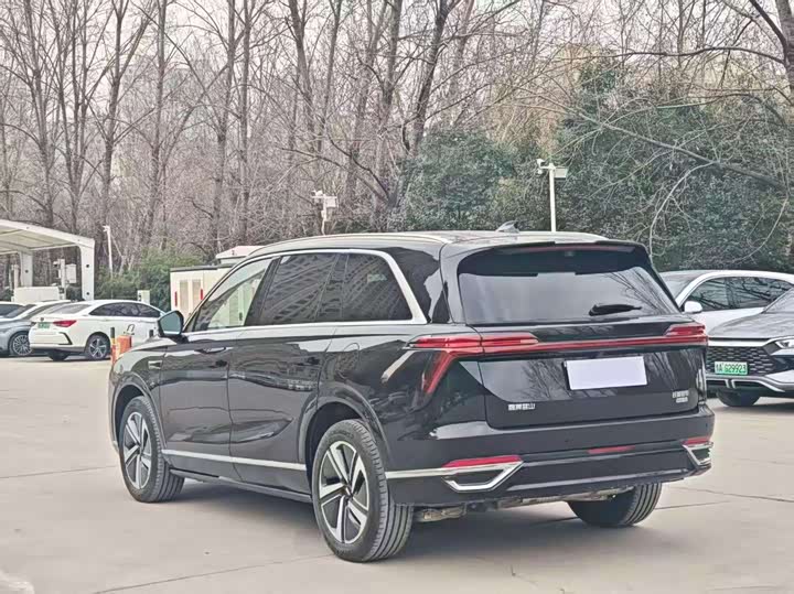 Фото 7 - Wey Lanshan