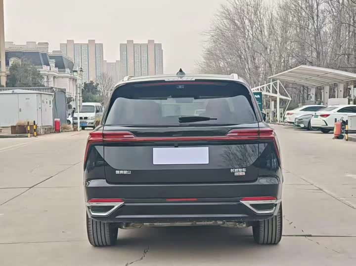 Фото 8 - Wey Lanshan