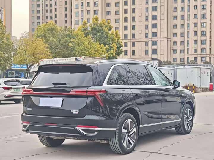 Фото 9 - Wey Lanshan