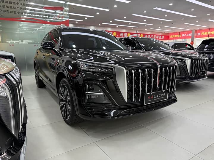 Photo 3 - Hongqi HS5