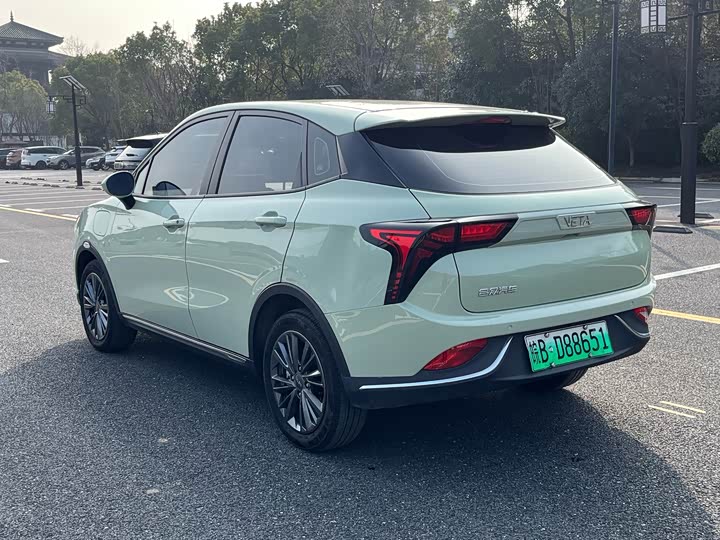 Фото 7 - Hozon V