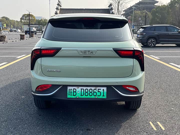 Фото 8 - Hozon V