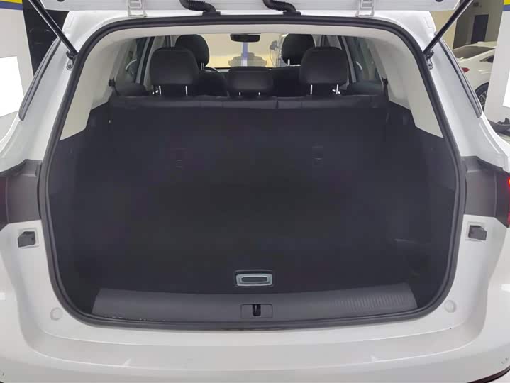 Фото 4 - Roewe RX5 Max