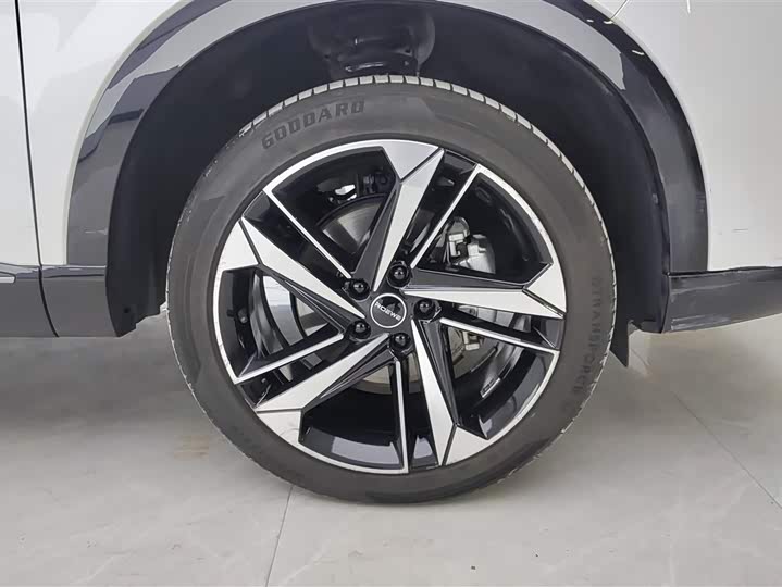 Фото 6 - Roewe RX5 Max