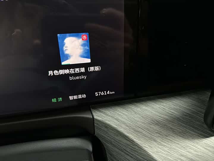 Фото 9 - Tank 500 Hybrid