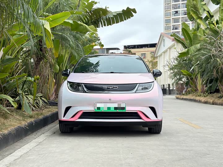 Фото 2 - BYD Dolphin