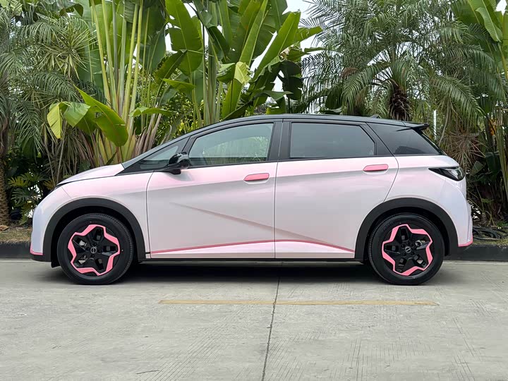 Фото 3 - BYD Dolphin