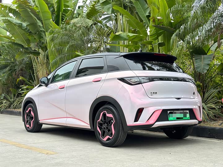 Фото 5 - BYD Dolphin