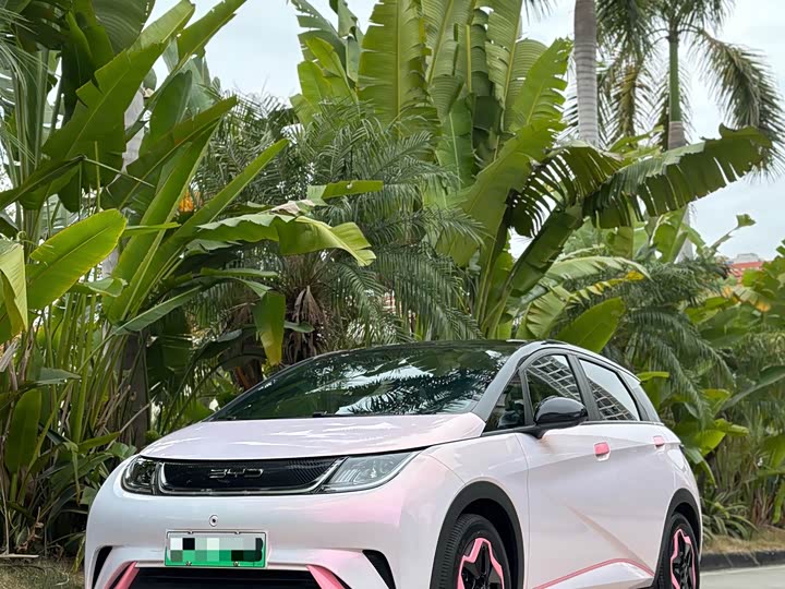 Фото 6 - BYD Dolphin