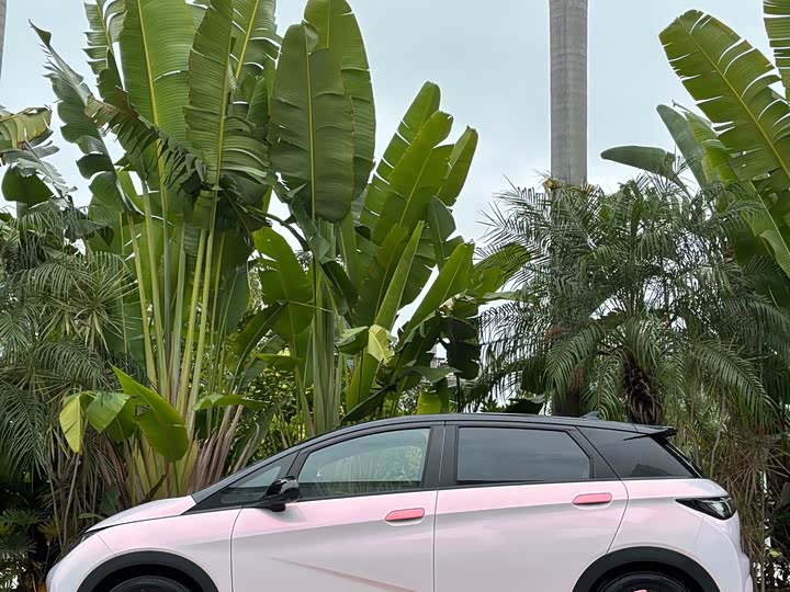 Фото 7 - BYD Dolphin