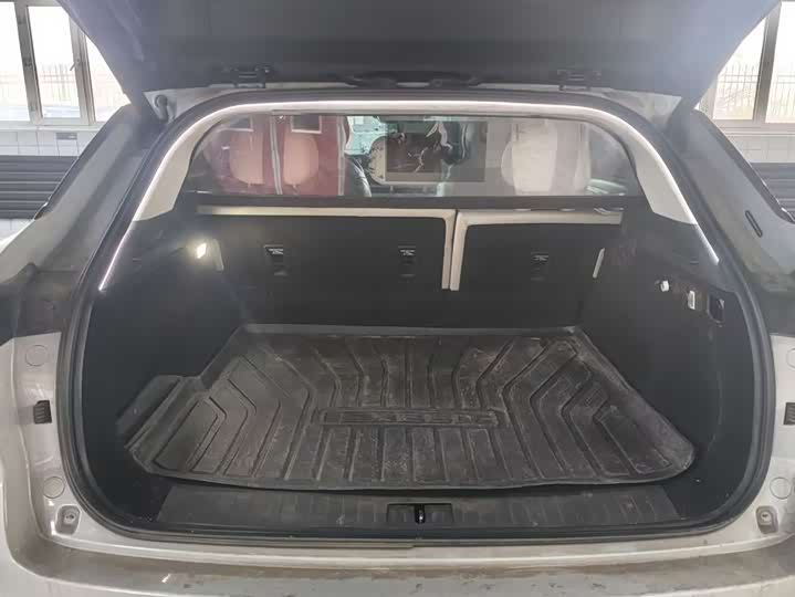 Фото 7 - Exeed RX C-DM Hybrid