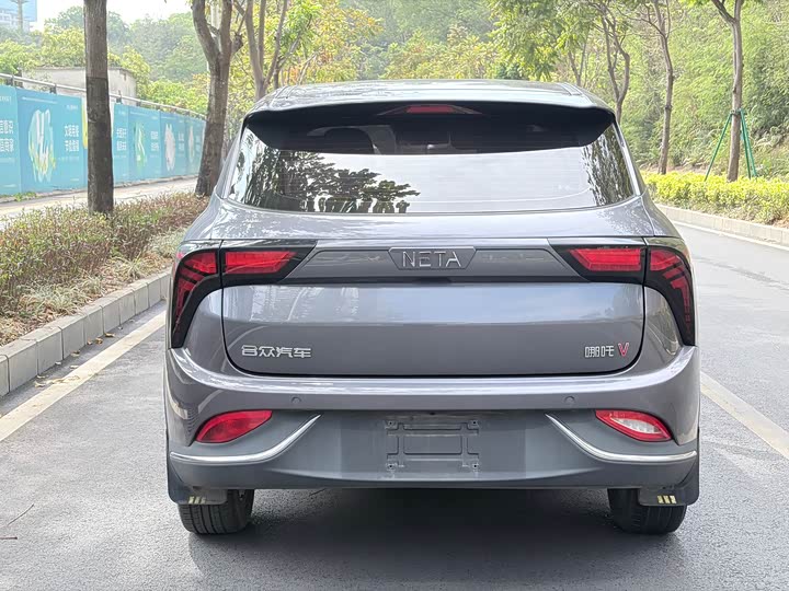 Фото 6 - Hozon V