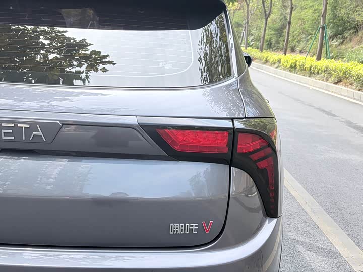 Фото 8 - Hozon V