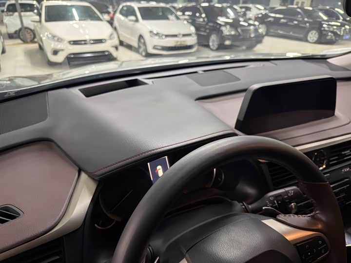 Фото 6 - Lexus RX