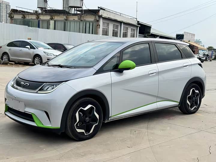 Фото 1 - BYD Dolphin