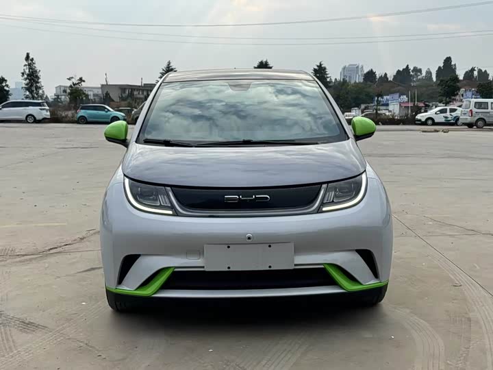 Фото 2 - BYD Dolphin