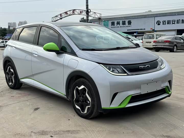 Фото 3 - BYD Dolphin