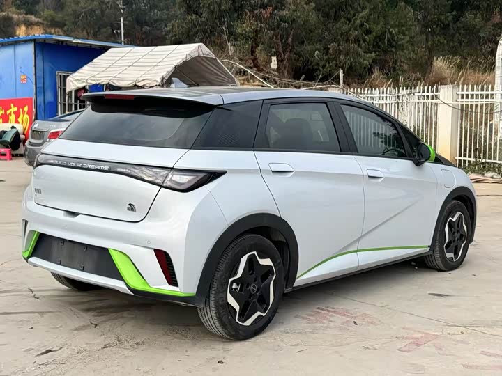 Фото 7 - BYD Dolphin