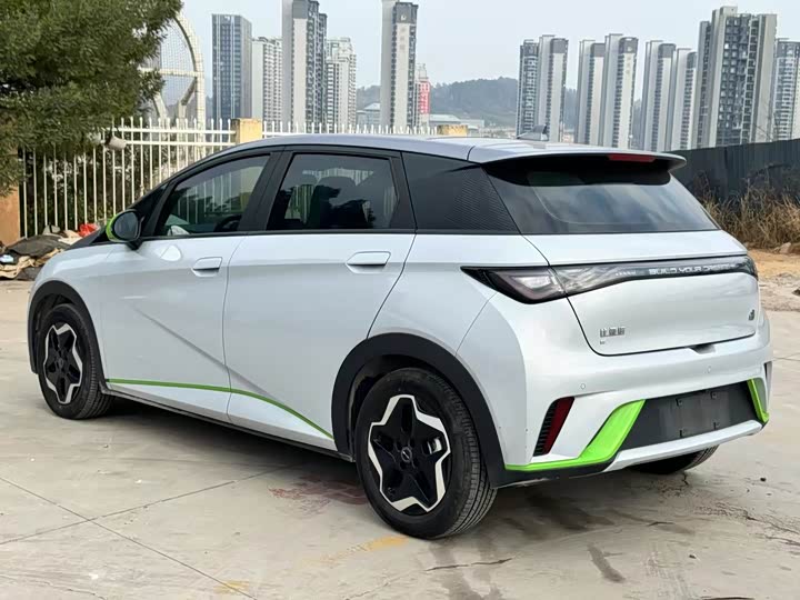 Фото 9 - BYD Dolphin