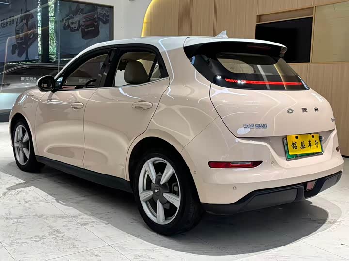 Фото 4 - Ora Good Cat (03)