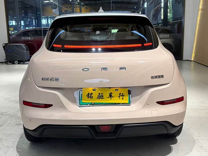 Фото 5 - Ora Good Cat (03)