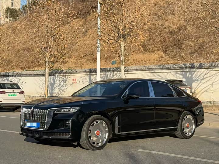Фото 1 - Hongqi H9