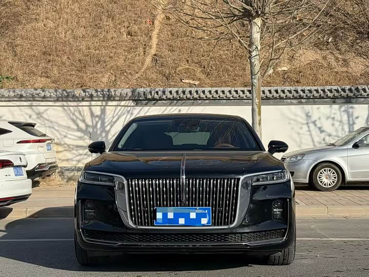 Фото 2 - Hongqi H9