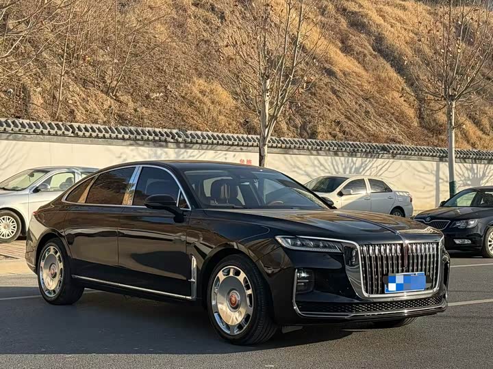 Фото 3 - Hongqi H9