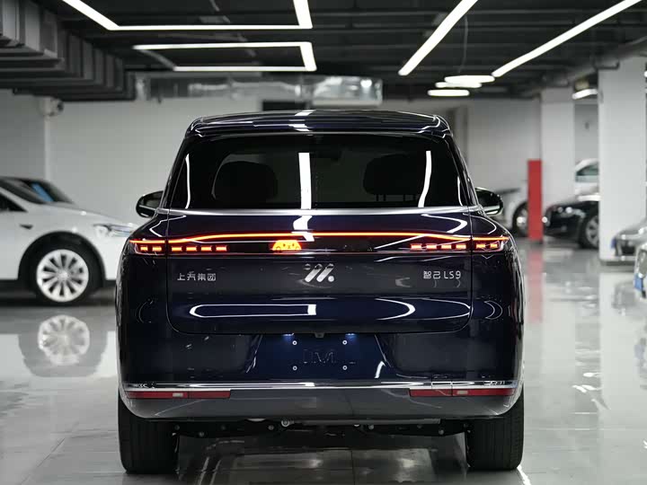 Фото 6 - IM motors LS9