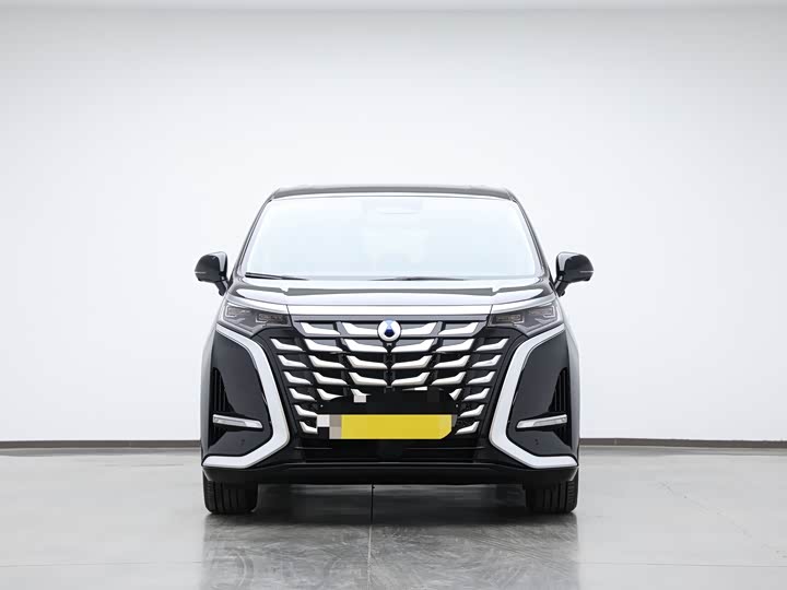 Фото 2 - Denza D9