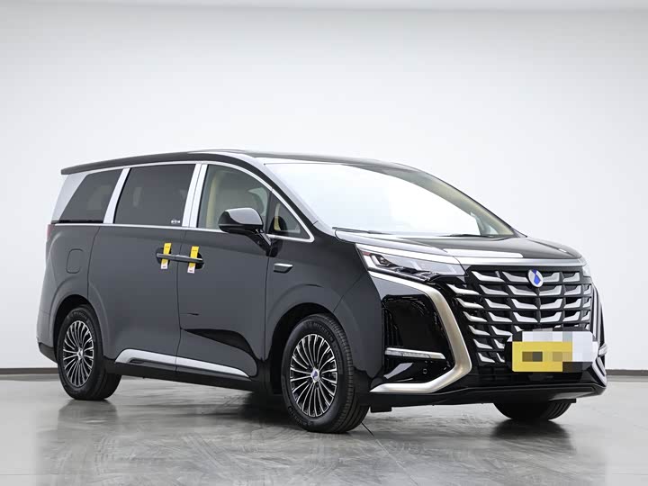 Фото 3 - Denza D9