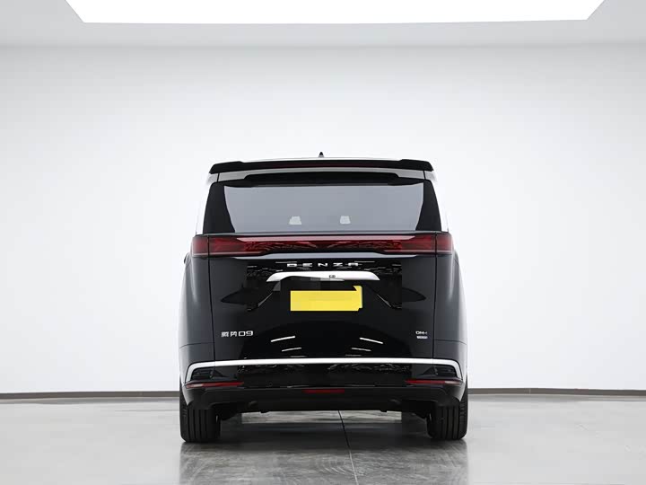 Фото 5 - Denza D9