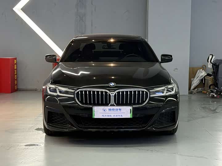 Фото 2 - BMW 5 Series Hybrid