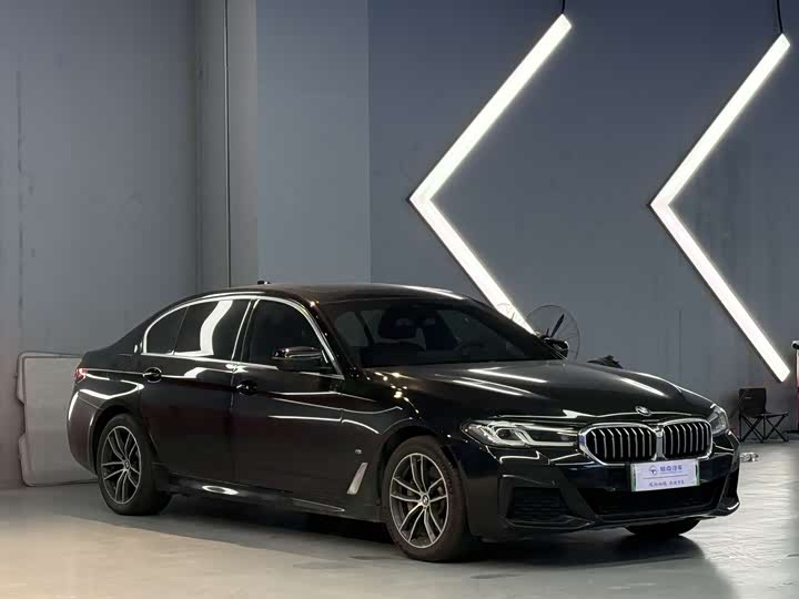 Фото 3 - BMW 5 Series Hybrid