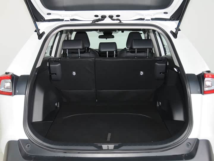 Photo 7 - Toyota Wildlander