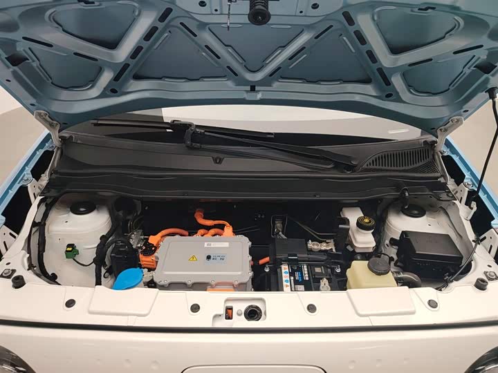 Фото 6 - Ora Black Cat