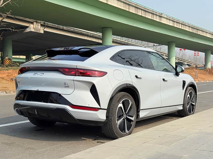 Фото 6 - BYD Song L