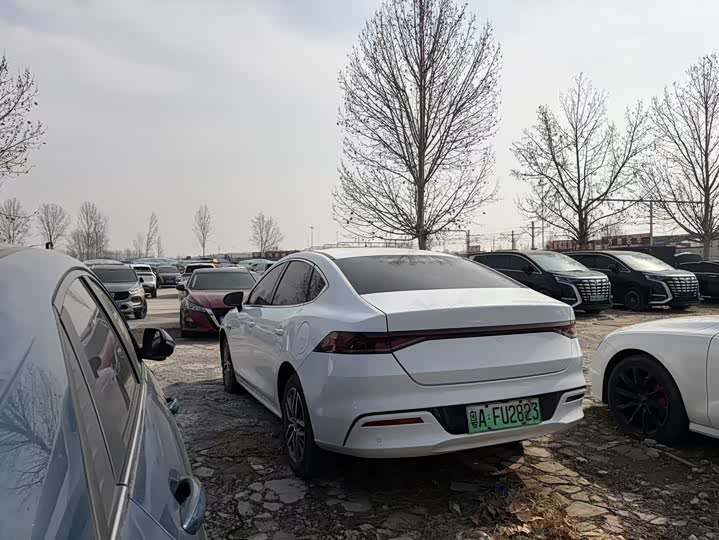 Фото 9 - BYD Qin Plus