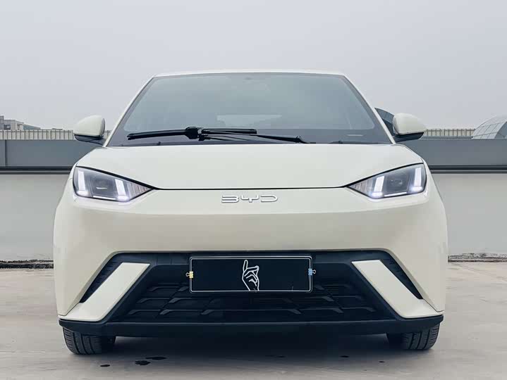 Фото 2 - BYD Seagull