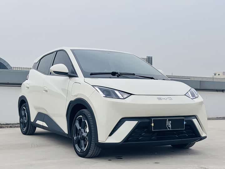 Фото 3 - BYD Seagull